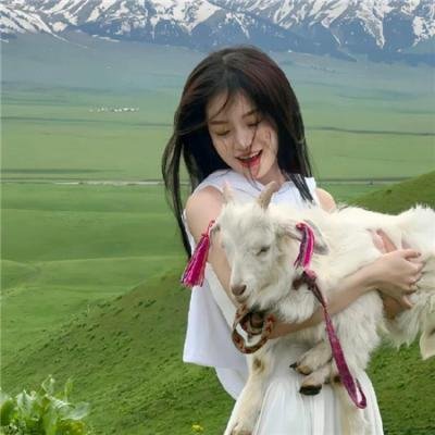汪汪队立大功第九季