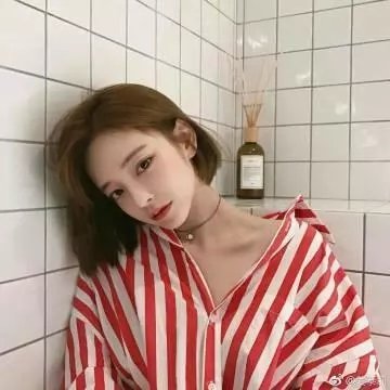 鲨人树儿